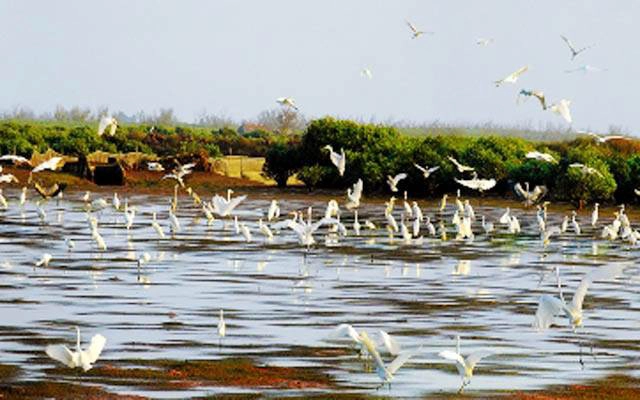 Vườn Quốc Gia Xuân Thuỷ