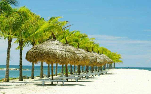 White Sand Travel