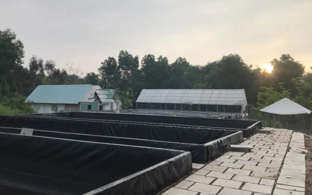 Xanh FarmStay