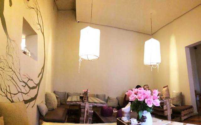 Zenith Yoga Cafe II