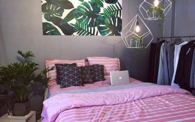 Zin Home Decor
