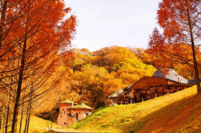 ‘Sống ảo’ trong vườn cổ tích đẹp như mơ ở Nhật Bản