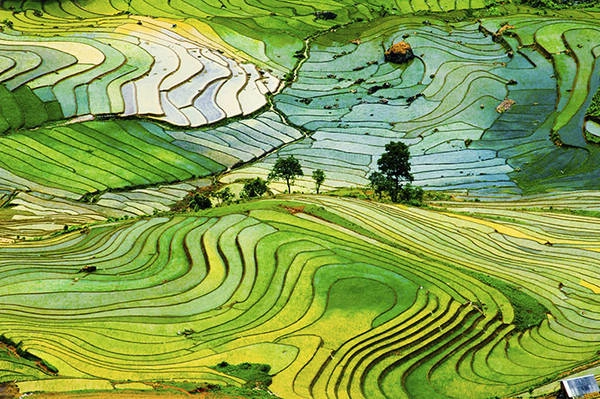10 mẹo giúp bạn cho ‘ra đời’ những bức ảnh đẹp khi đi du lịch
