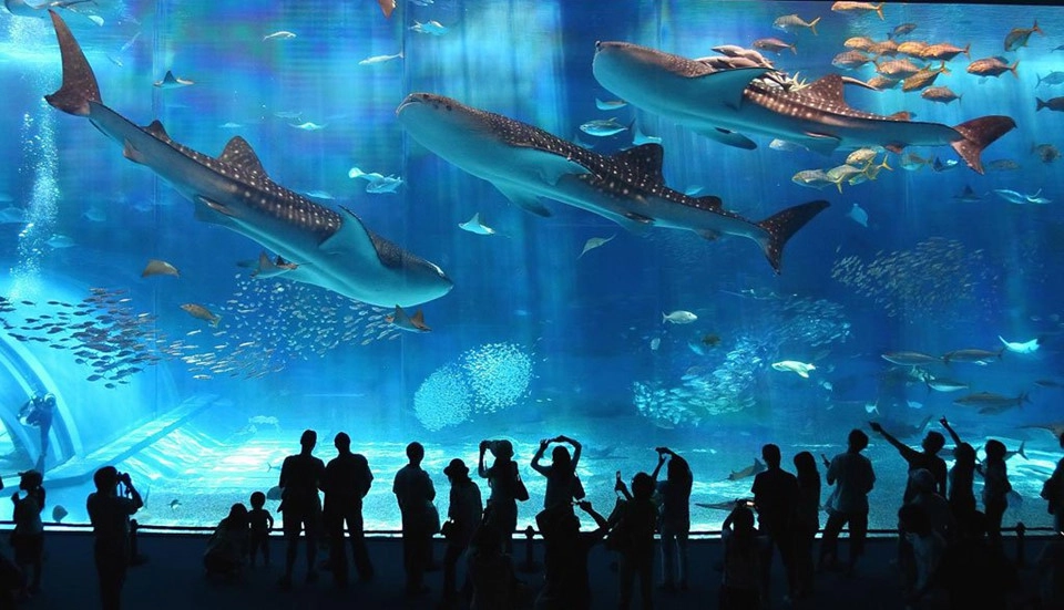 10 trải nghiệm đáng giá nhất ở Osaka 