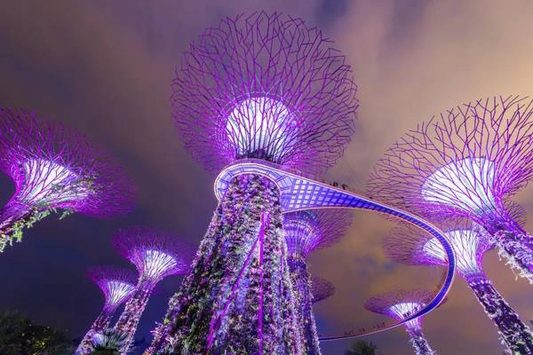 10 trải nghiệm về đêm miễn phí bạn nên thử khi đến du lịch Singapore