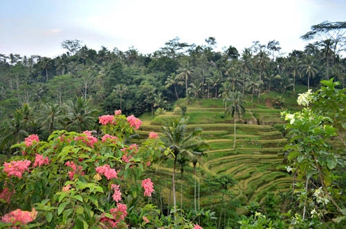 12 điều bạn không nên bỏ qua khi du lịch Bali