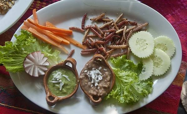 17 đặc sản địa phương khiến du khách phát hoảng