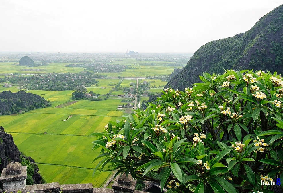 24 giờ du ngoạn non nước Ninh Bình