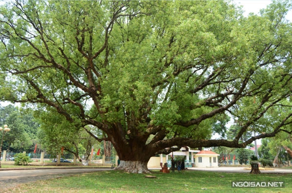 24 giờ không chán ở Buôn Ma Thuột