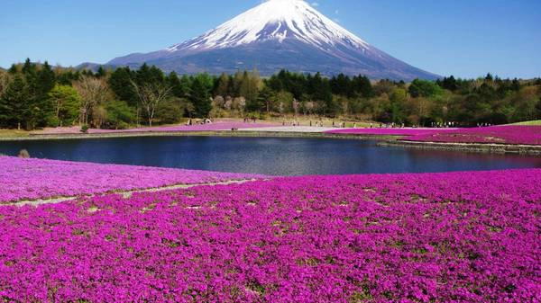 25 lý do thú vị khiến du lịch Tokyo hấp dẫn du khách