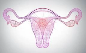 5 nguyên nhân gây đau ở buồng trứng, chẩn đoán, điều trị
