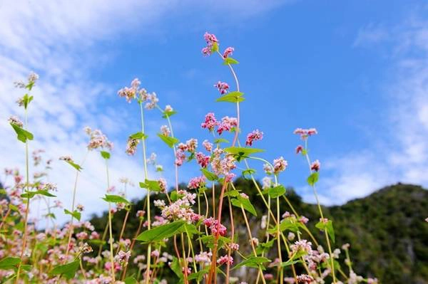 5 thói quen xấu trên đường đi phượt Hà Giang