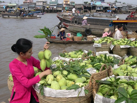 7 điều chinh phục du khách khi du lịch miền Tây
