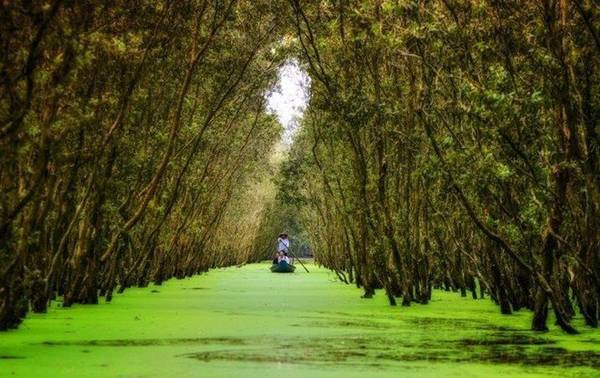 9 trải nghiệm không thể bỏ qua khi du lịch miền Tây mùa hè
