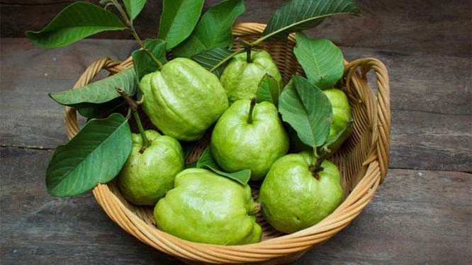 Ăn ổi nhiều có tốt không?