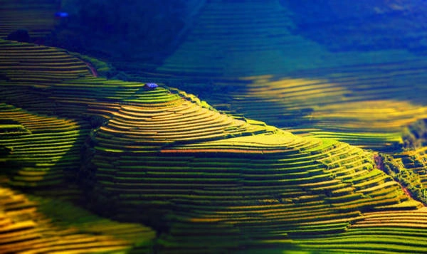 Ảnh Việt Nam đẹp lộng lẫy trên trang mạng châu Âu