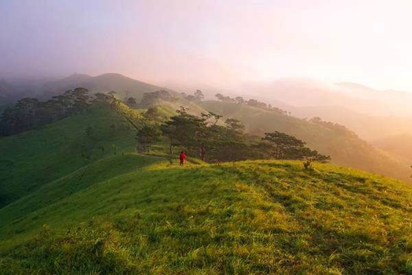 Băng rừng trên cung đường trek đẹp nhất Việt Nam