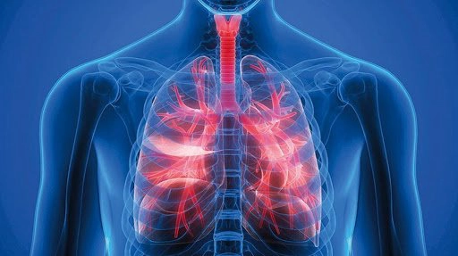 Bệnh phổi tắc nghẽn mãn tính có truyền nhiễm không?
