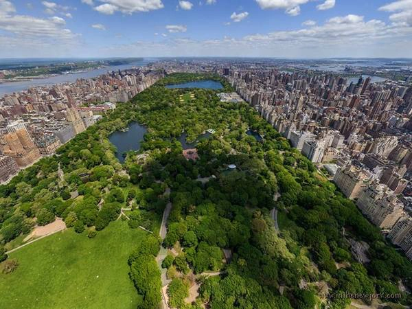 Bí mật về công viên Central Park ở New York