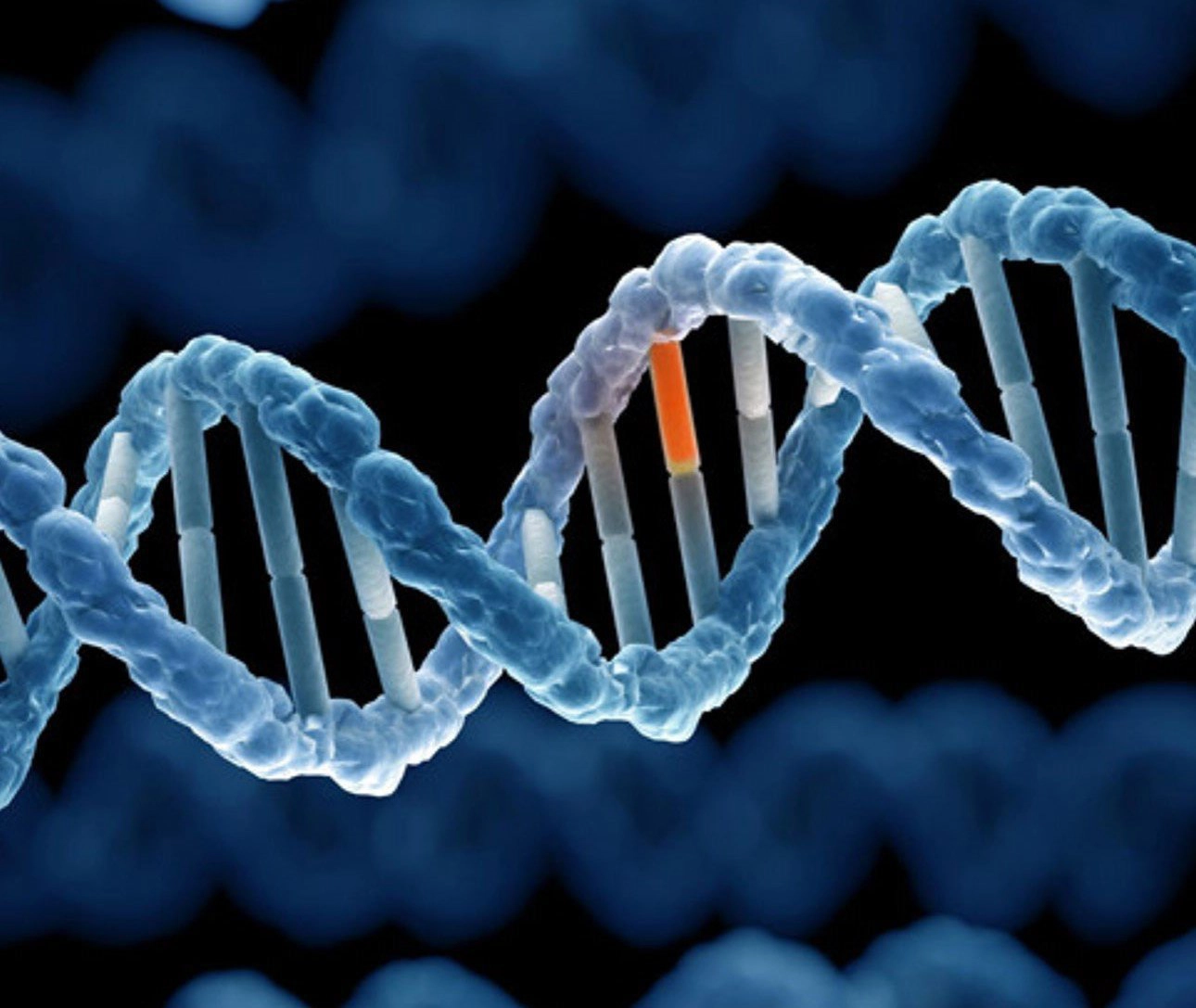 Biến thể gen là gì và các biến thể xảy ra như thế nào?