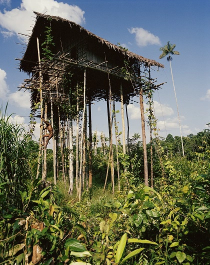 Bộ tộc nguyên thủy sống giữa rừng già ở Indonesia