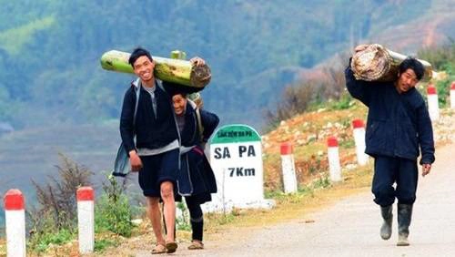 Cà phê trong mây ở Sapa