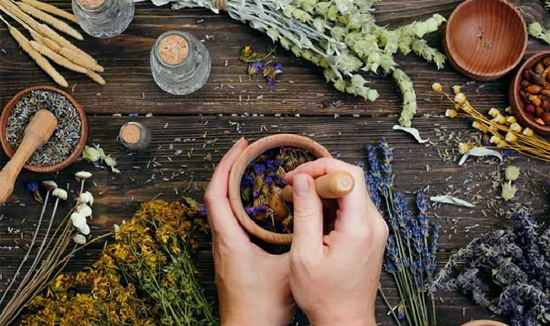 Các bài thuốc nam chữa thận yếu