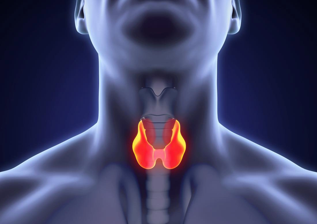 Các hormone tiết ra từ tuyến giáp