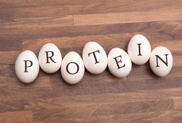 Các nguồn protein rẻ và lành mạnh