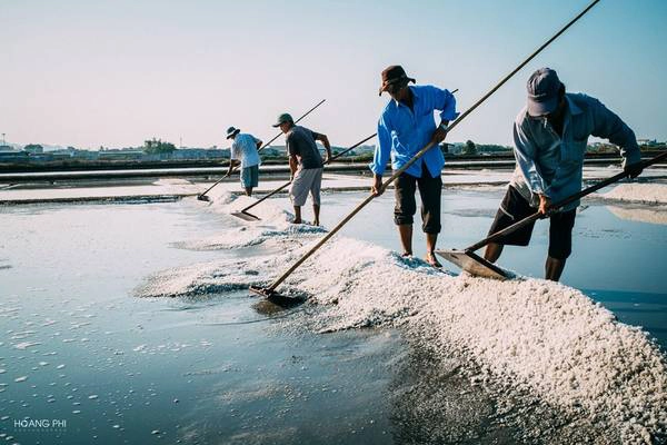 Cánh đồng muối Bà Rịa - Vũng Tàu ngày nắng gắt