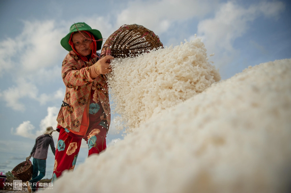 Cánh đồng muối trắng Đông Hải