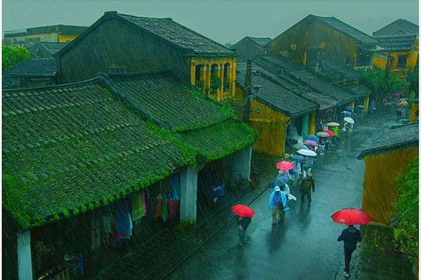 Cảnh thiên nhiên tuyệt đẹp ở 3 miền đất nước