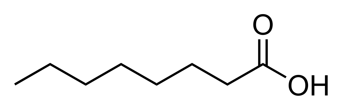 Caprylic/Capric Triglyceride là gì và nó có an toàn không?