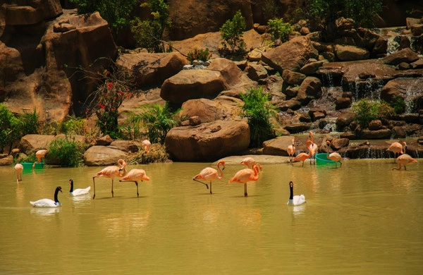 Check-in liền tay hàng loạt điểm đến mới tinh ở Vinpearl Land Nha Trang 