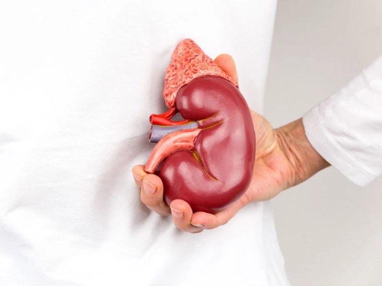 Chỉ số eGFR 79,5 có thấp không?