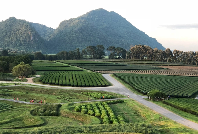 Chiang Rai - vùng đất có các điểm check-in độc lạ ở Thái Lan