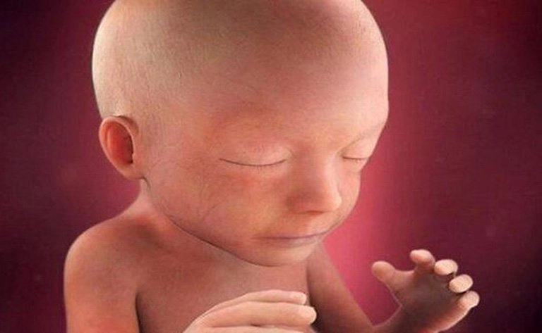 Chiều dài xương mũi thai nhi 12 tuần bình thường là bao nhiêu?