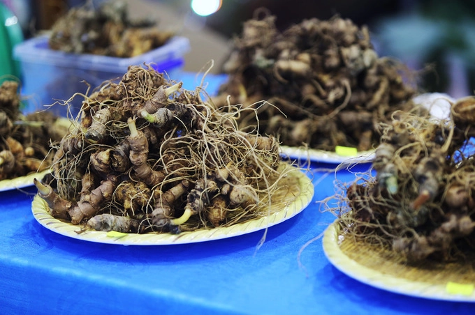 Chợ sâm giá hàng chục triệu đồng một kg ở Quảng Nam