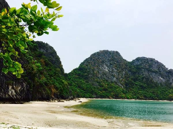 Chuyến phiêu lưu trên hoang đảo Mắt Rồng