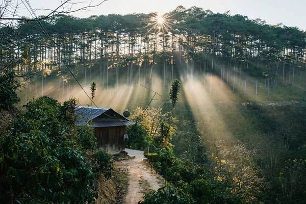 Có một Đà Lạt rất ‘tình’ cho những chuyến phiêu du