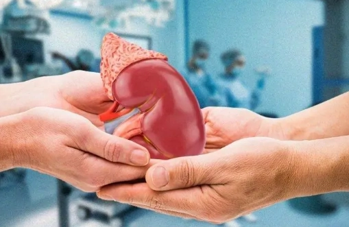 Có thể ghép thận sau sinh mổ 5 tháng không?