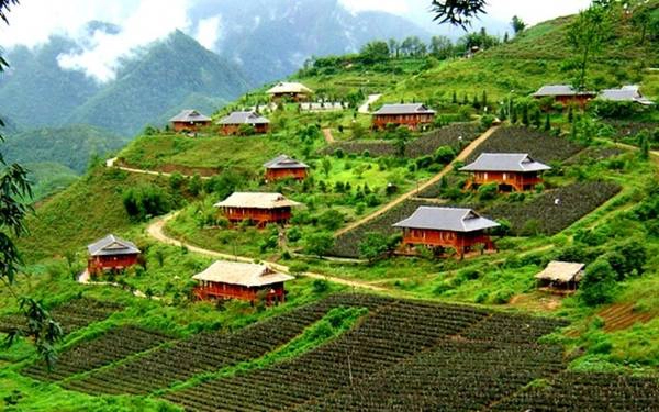 Cô Tô, Sapa, Tam Đảo - điểm nghỉ dưỡng mát mẻ nhất miền Bắc