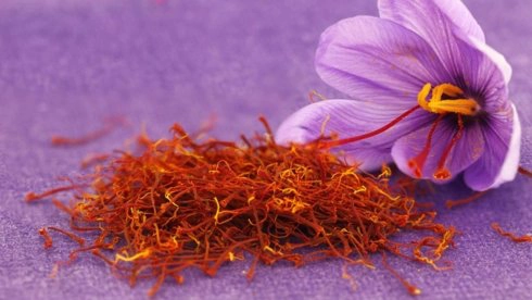 Công dụng của nhụy hoa huệ tây saffron