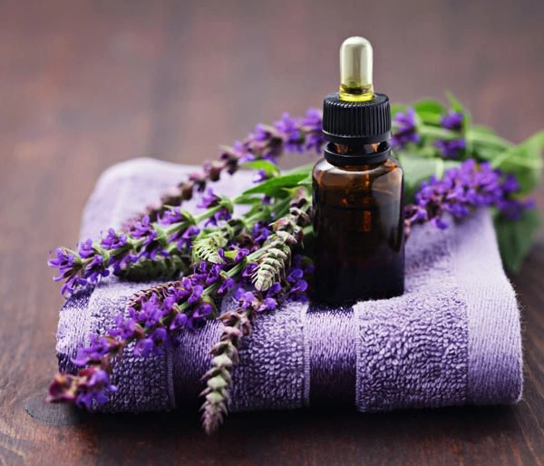 Công dụng đáng ngạc nhiên của tinh dầu  hoa oải hương với sức khỏe