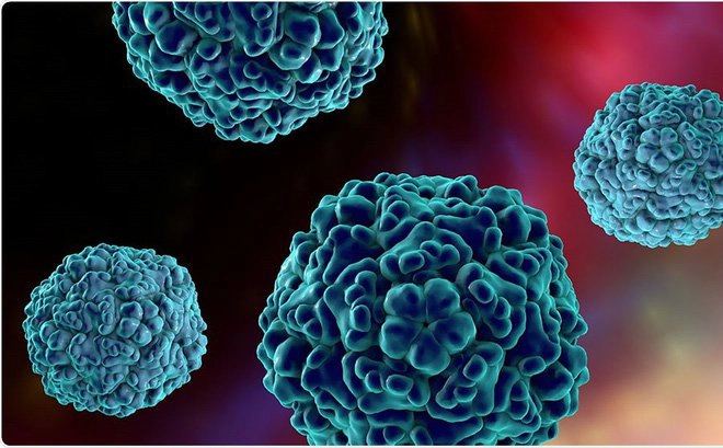 Coxsackie virus A16 và Enterovirus 71 (EV71): Tác nhân gây tay chân miệng