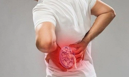 Đặc điểm của bệnh thận mạn