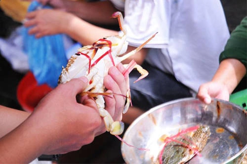 Đặc sản nên thử khi du lịch Đồ Sơn dịp 30/4