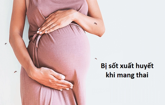 Đang mang thai bị sốt xuất huyết, phải làm sao?