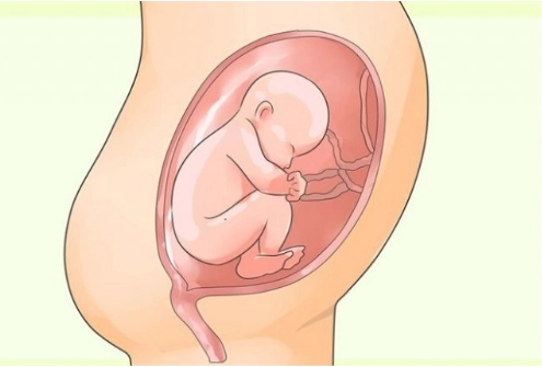 Dây rốn một động mạch có nguy hiểm?