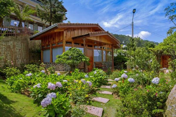 Đến Đà Lạt trải nghiệm ngủ bungalow giữa đồi thông ở Zen Valley Dalat